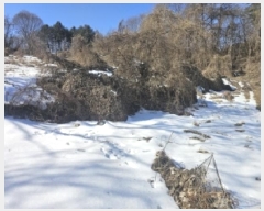  2025Ÿ��5161 ��� �ܾ籺 �ܾ��� ���� 66      ����(��1)���