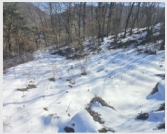  2025Ÿ��5161 ��� �ܾ籺 �ܾ��� ���� 66      ����(��1)���