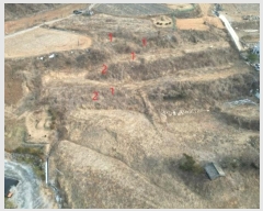  2025Ÿ��5185 ��� �ܾ籺 �ܾ��� õ���� 309-9      ����(��1)���