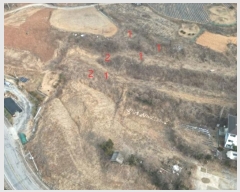  2025Ÿ��5185 ��� �ܾ籺 �ܾ��� õ���� 309-9      ����(��1)���