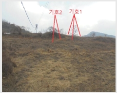  2025Ÿ��5185 ��� �ܾ籺 �ܾ��� õ���� 309-9      ����(��1)���