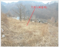  2025Ÿ��5185 ��� �ܾ籺 �ܾ��� õ���� 309-9      ����(��1)���