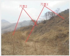  2025Ÿ��5185 ��� �ܾ籺 �ܾ��� õ���� 309-9      ����(��1)���