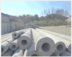  2025Ÿ5276  õ ϵ 905       ()