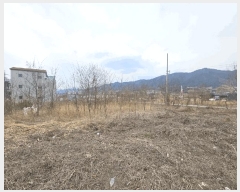  2025Ÿ5280  õ վϵ 89-52       (1)