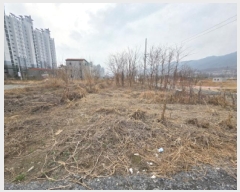  2025Ÿ5280  õ վϵ 89-52       (1)