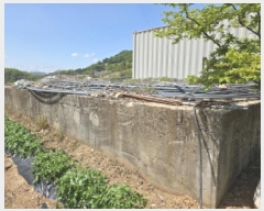  2025Ÿ5294  õ   42      (1)