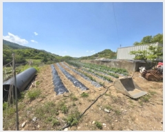  2025Ÿ5294  õ   42      (1)