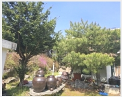  2025Ÿ��5298  ���ð��