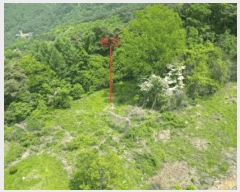  2025Ÿ5308  ܾ籺  ߸ 861      (1)