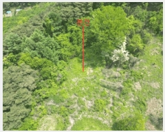  2025Ÿ5308  ܾ籺  ߸ 861      (1)