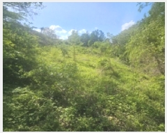  2025Ÿ5308  ܾ籺  ߸ 861      (1)