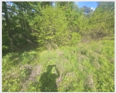  2025Ÿ5308  ܾ籺  ߸ 861      (1)