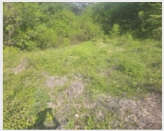  2025Ÿ5308  ܾ籺  ߸ 861      (1)