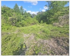  2025Ÿ5308  ܾ籺  ߸ 861      (1)