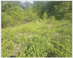  2025Ÿ5308  ܾ籺  ߸ 861      (1)