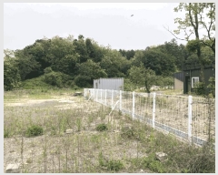  2025Ÿ��5318  �Ӿ߰��