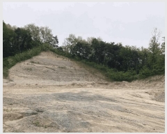  2025Ÿ��5318  �Ӿ߰��