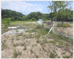  2025Ÿ��5318  �Ӿ߰��