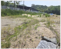  2025Ÿ��5318  �Ӿ߰��