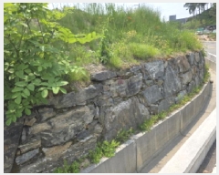  2025Ÿ��5318  �Ӿ߰��