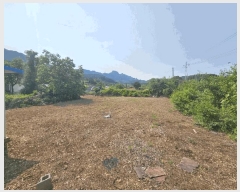  2025Ÿ��5322  �����