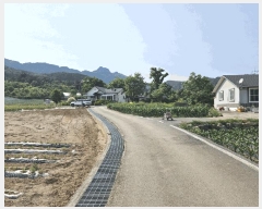  2025Ÿ��5322  �����