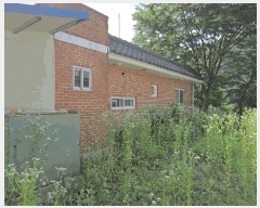  2025Ÿ��5334 ��� �ܾ籺 ����� ���븮 722-3      ���ð��