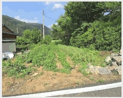  2025Ÿ��5334 ��� �ܾ籺 ����� ���븮 722-3      ���ð��