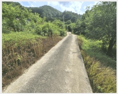  2025Ÿ��5340 ��� ��õ�� ûǳ�� �弱�� 279      ����(��1)���