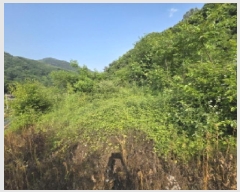  2025Ÿ��5340 ��� ��õ�� ûǳ�� �弱�� 279      ����(��1)���