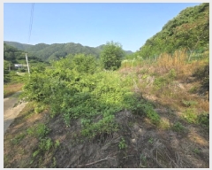  2025Ÿ��5340 ��� ��õ�� ûǳ�� �弱�� 279      ����(��1)���