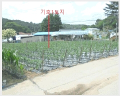  2025Ÿ��5342 ��� ��õ�� ���� �򵿸� 368-2      ����(��1)���