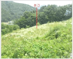  2025Ÿ��5352 ��� �ܾ籺 �밭�� ���̸� 113      ����(��1)���