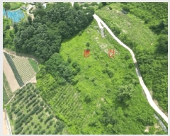  2025Ÿ��5352 ��� �ܾ籺 �밭�� ���̸� 113      ����(��1)���