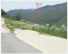  2025Ÿ��5352 ��� �ܾ籺 �밭�� ���̸� 113      ����(��1)���