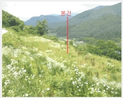  2025Ÿ��5352 ��� �ܾ籺 �밭�� ���̸� 113      ����(��1)���