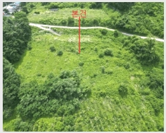  2025Ÿ��5352 ��� �ܾ籺 �밭�� ���̸� 113      ����(��1)���