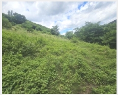  2025Ÿ��5352 ��� �ܾ籺 �밭�� ���̸� 113      ����(��1)���