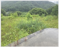  2025Ÿ��5354 ��� ��õ�� ���� ������ ��22-4      ����(�Ӿ�)���