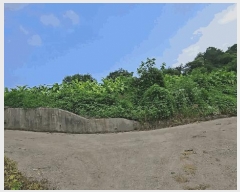  2025Ÿ��5358 ��� �ܾ籺 ����� ���̰ 294      ����(��1)���