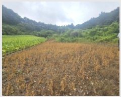  2025Ÿ��5358 ��� �ܾ籺 ����� ���̰ 294      ����(��1)���