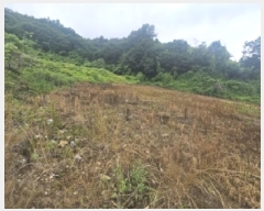  2025Ÿ��5358 ��� �ܾ籺 ����� ���̰ 294      ����(��1)���