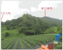  2025Ÿ��5364 ��� ��õ�� ����� ���⸮ ��54      ����(�Ӿ�)���