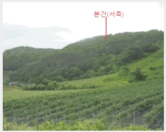  2025Ÿ��5364 ��� ��õ�� ����� ���⸮ ��54      ����(�Ӿ�)���