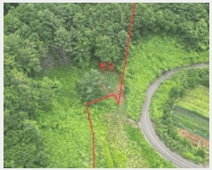  2025Ÿ��5364 ��� ��õ�� ����� ���⸮ ��54      ����(�Ӿ�)���