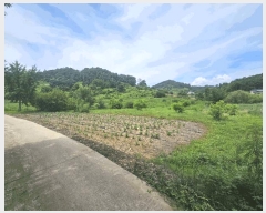  2025Ÿ��5370 ��� ��õ�� ����� ���� 396-2      ����(��1)���