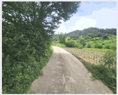  2025Ÿ��5370 ��� ��õ�� ����� ���� 396-2      ����(��1)���