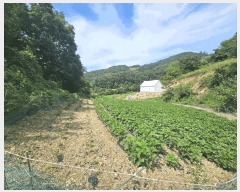  2025Ÿ��5370 ��� ��õ�� ����� ���� 396-2      ����(��1)���