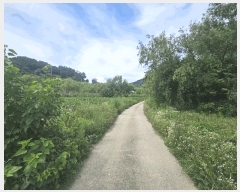  2025Ÿ��5370 ��� ��õ�� ����� ���� 396-2      ����(��1)���